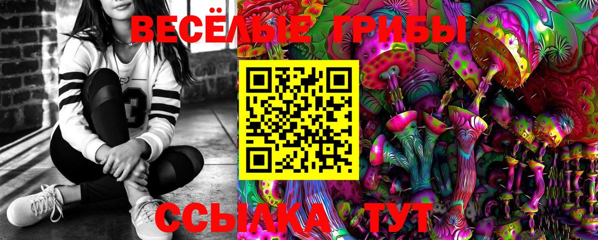 Ногинск  Галлюциногенные грибы Magic Shrooms  Вход с VPN 