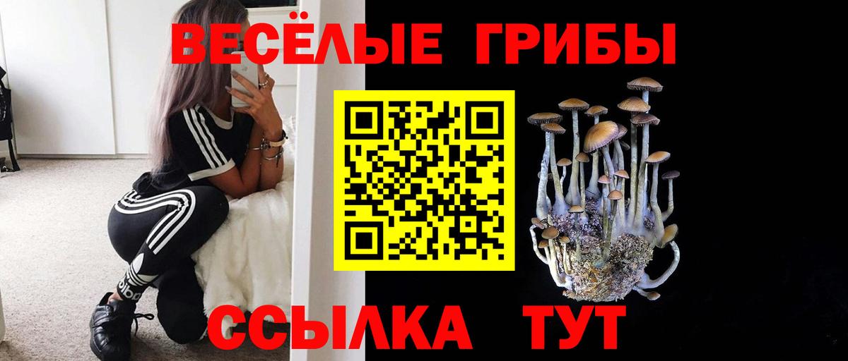 Лсд 25  ГАШИШ  Продажа наркотиков  Канабис  COCAIN  Ногинск  Вход с VPN  Мефедрон кристаллы  ЭКСТАЗИ 